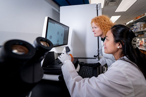 Lab equipment