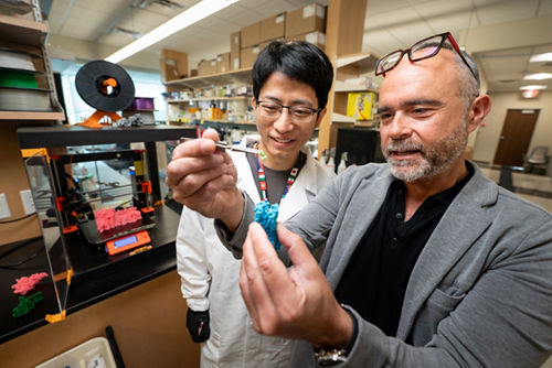 Georgios Skiniotis, PhD, and Liang Wang, PhD