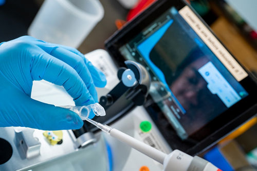 Gloved hand in research lab