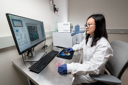 Woman working at computer in lab