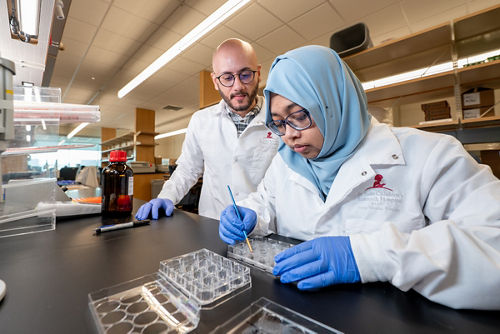 Two people working in a lab