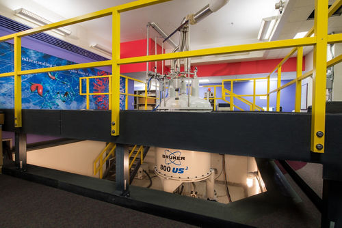 The Biomolecular NMR Center enables cutting-edge studies of protein structure and dynamics
