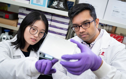 Nana Liu, PhD, and Senthil Bhoopalan, MBBS, PhD