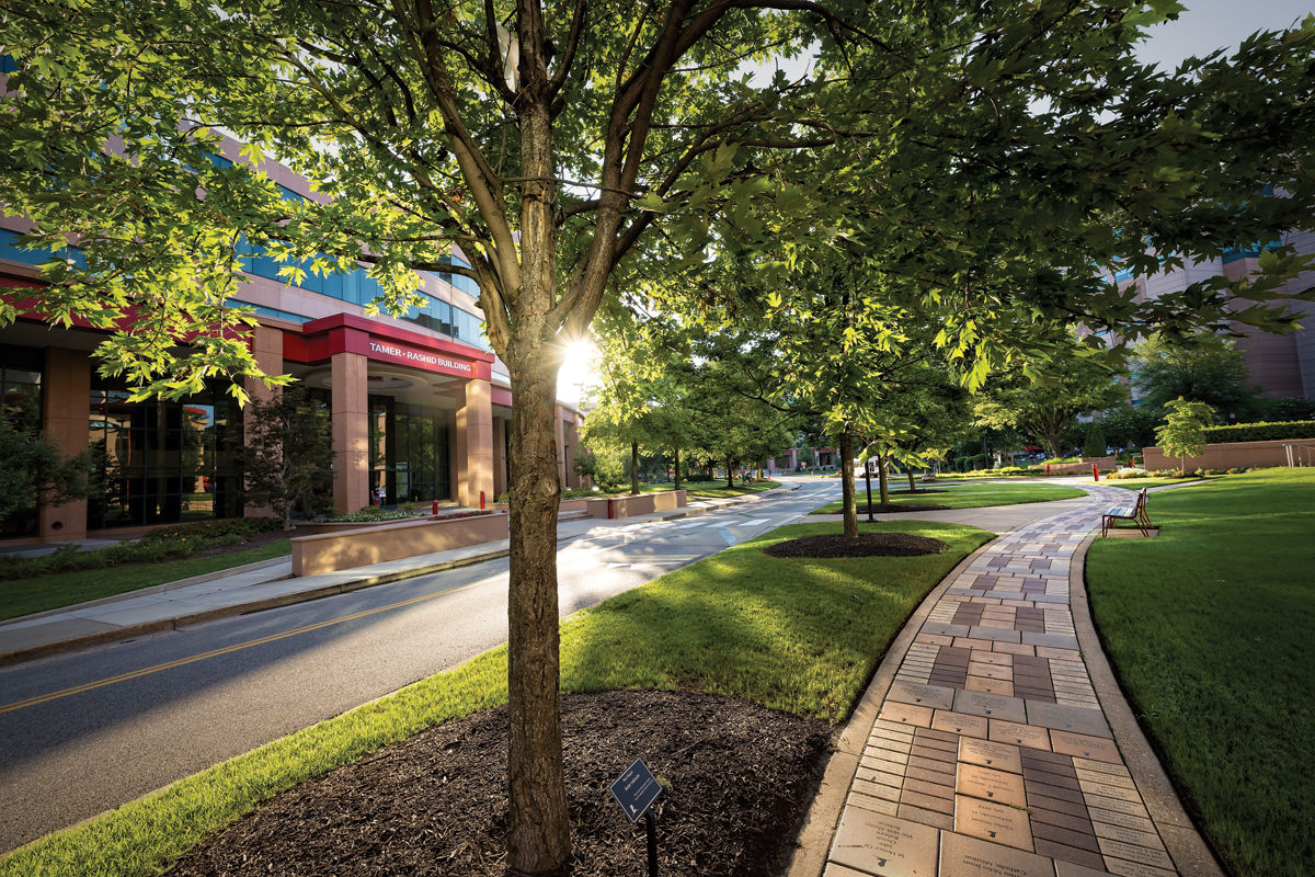 Memphis at Work: ALSAC