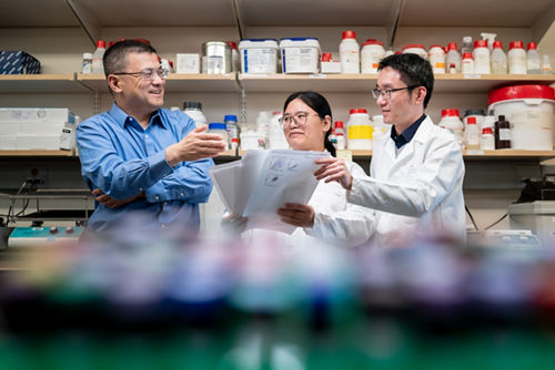 (L to R) Hongbo Chi, PhD, Sujing Yuan, PhD, and Renqiang Sun, PhD,