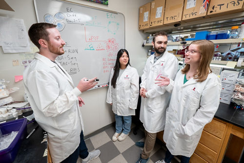 A group of people in white coats talking in a lab