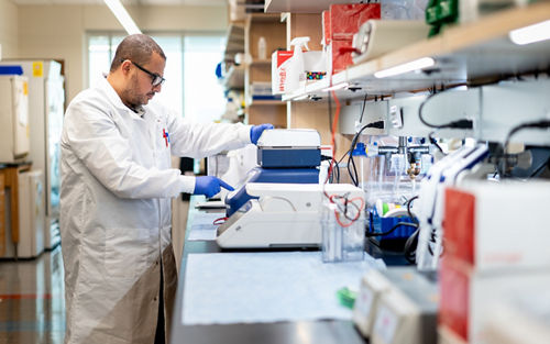 Person clad in white coat working in the lab