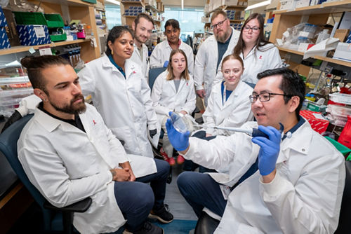 Mack Lab