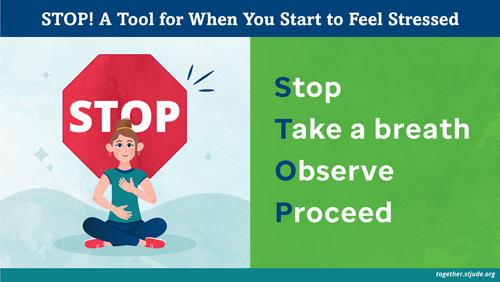 Stop, Take a Breath, Observe, Proceed.