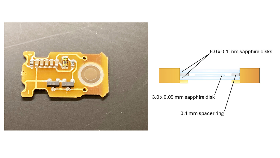 A microchip