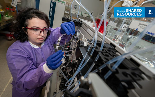 Scientist Francesca Ferrara, PhD