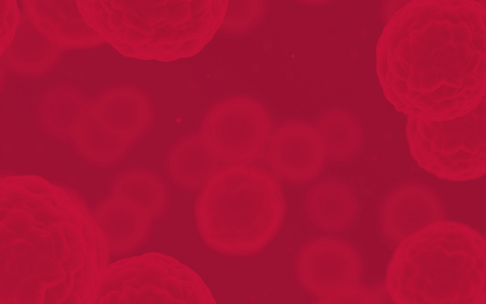 image of red blood cells