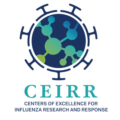 CEIRR Logo