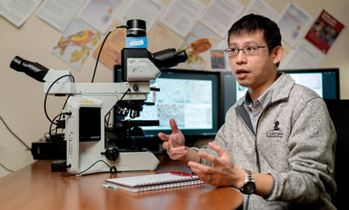 Jason Chiang