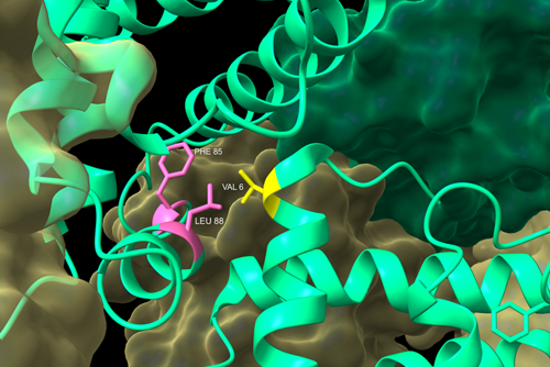 structural rendering of sickle cell disease