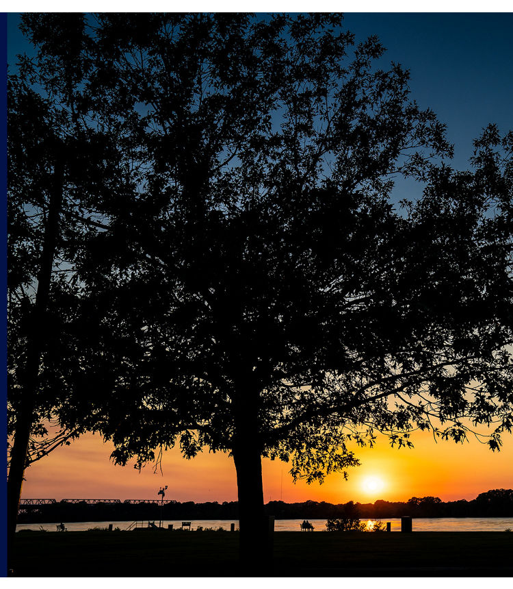 Silhouette of a large tree and shoreline in front of a river at sunset.
