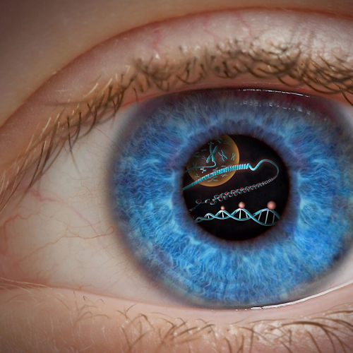 Illustration showing images of genetic processes inside the pupil of an eye