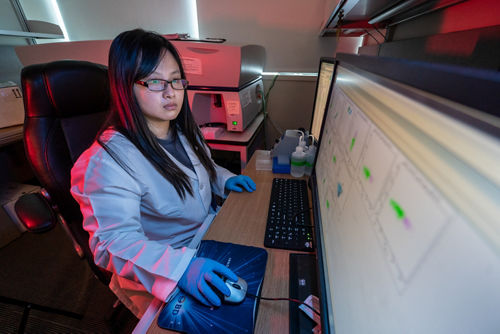 Woman working at large computer screen