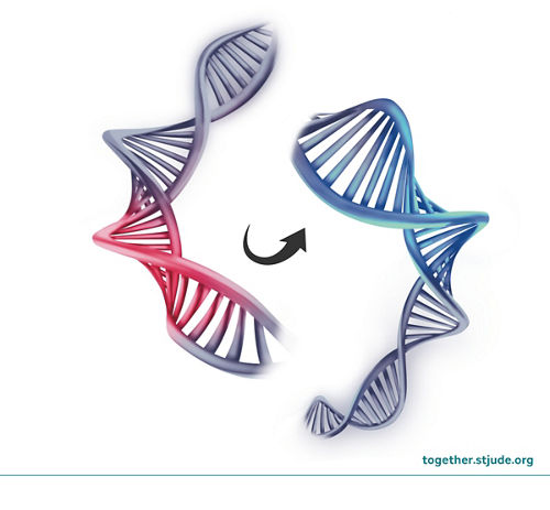 Gene editing illustration
