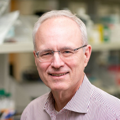 Stephen Gottschalk