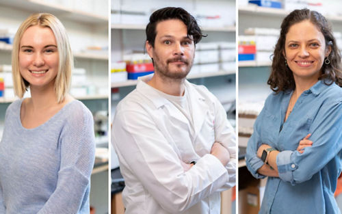 Flavia Graca, PhD, Liam Hunt, PhD, and Anna Stephan 
