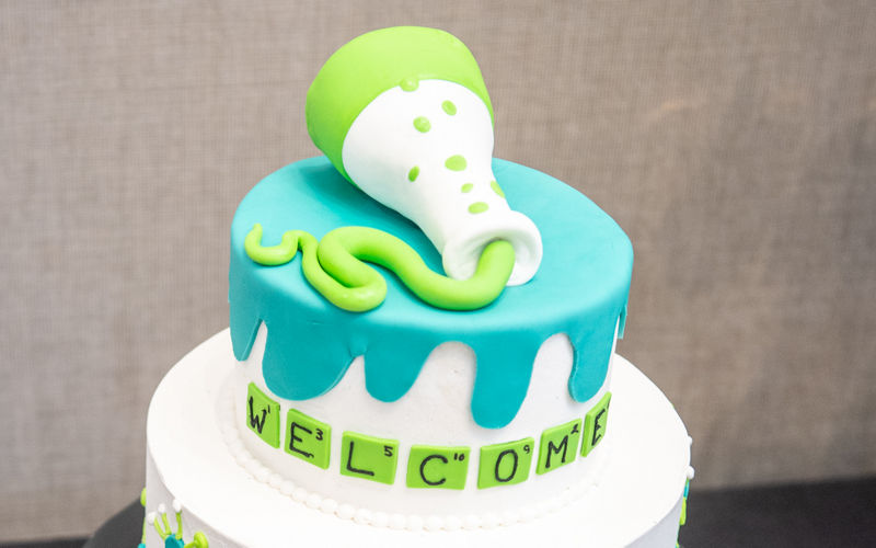 Decorated Cake