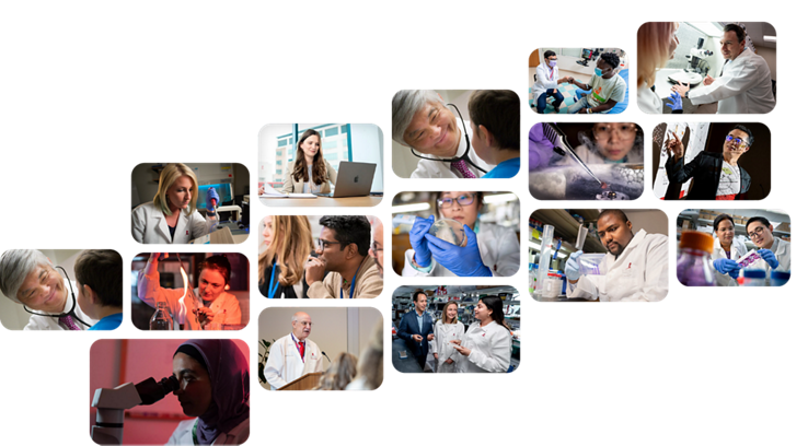 Mosaic of photos highlighting people who work at St. Jude