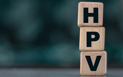 HPV blocks
