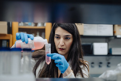 Researcher at UTHSC