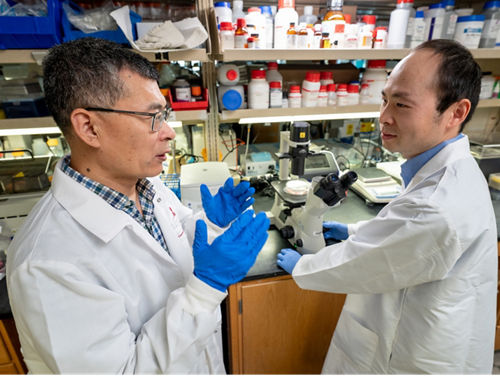 photo of Jun Yang and Qiong Wu