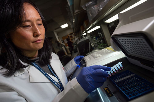 Kundu lab