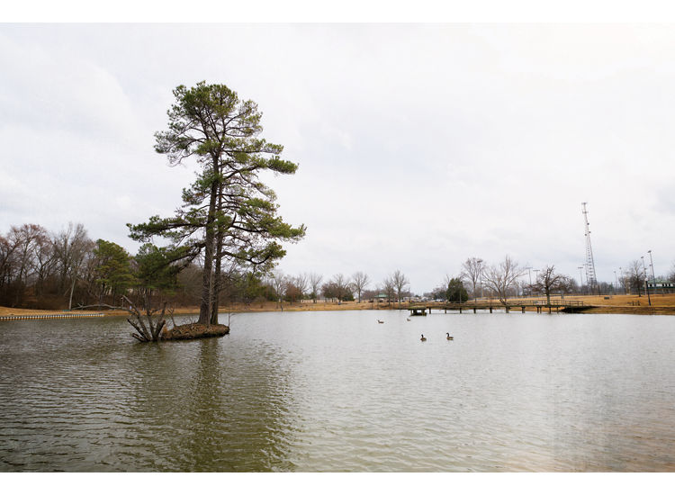 image of lake in park