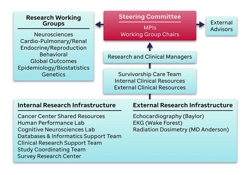 Organizational chart