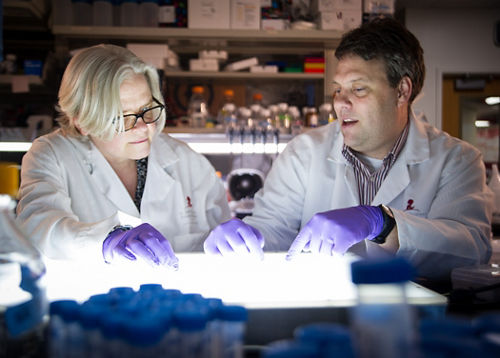 What is Gene Therapy ?