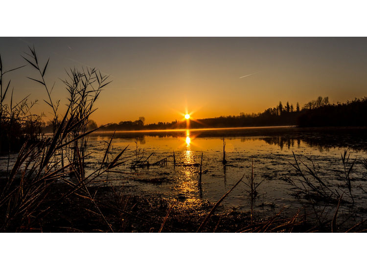 Low angle view of a river at sunset with reeds and marsh in the foreground.