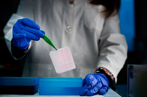 Roussel-Sherr Lab