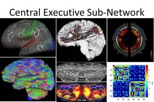 Structural and Connectivity Imaging Research Hub