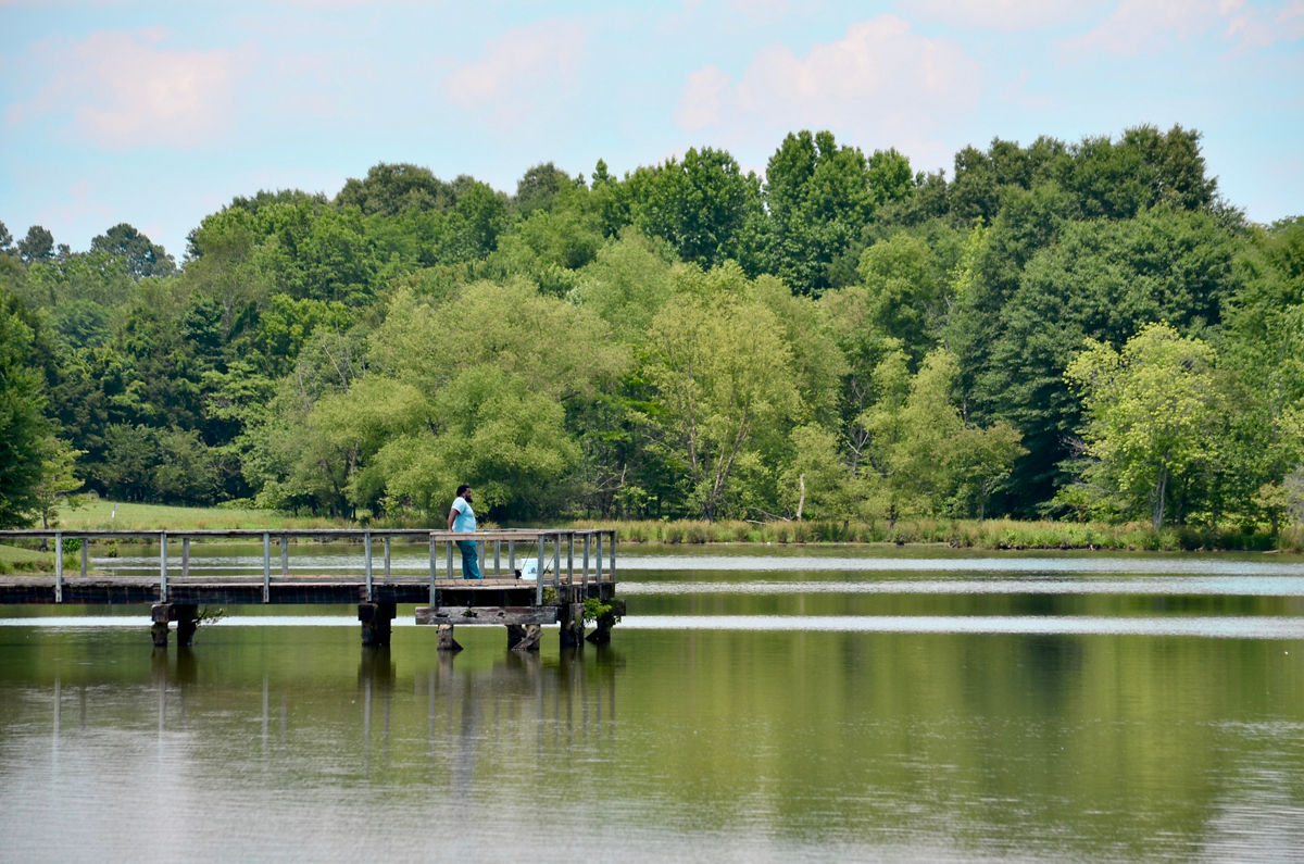 Man fishing on doc at Shelby Farms