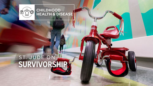 child's tricycle