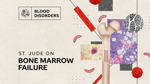 An artistic rendering of key aspects of bone marrow failure