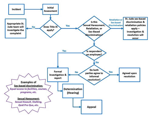 graphic showing process of filing Title IX complaint