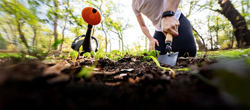 two hands holding plant that has been dug up