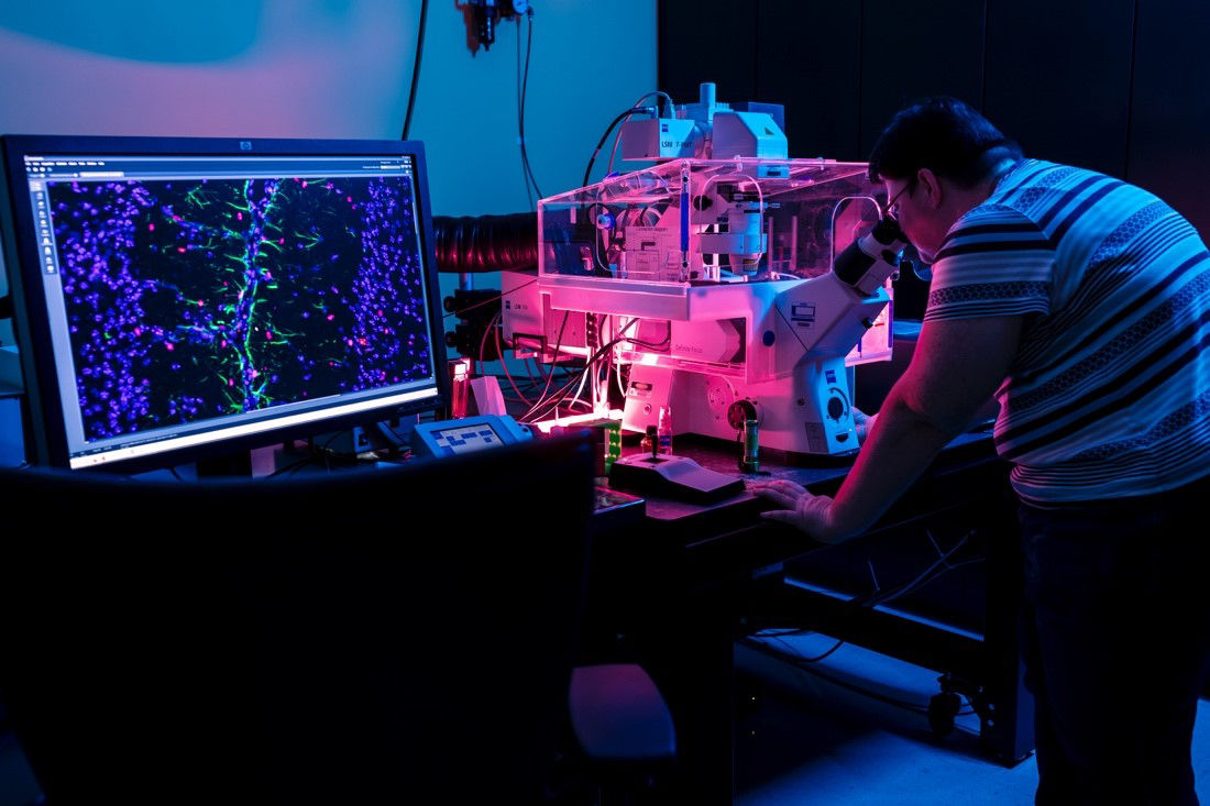 scientists studying data