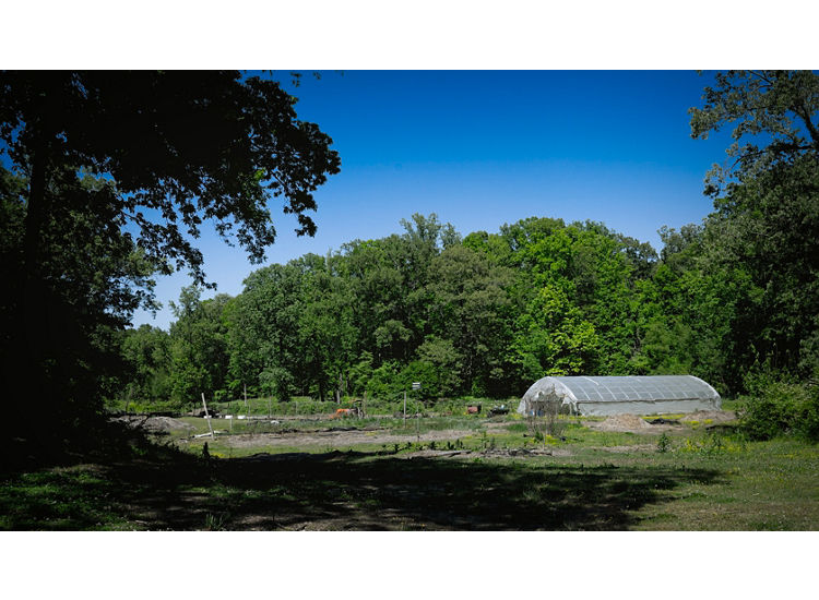 Photo of farm