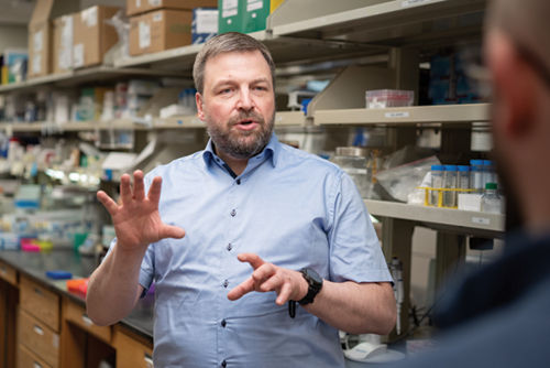 Marcin Wlodarski, MD, PhD,