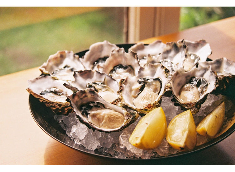 Close up of plated oysters with lemon wedges.