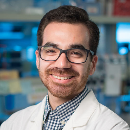 Daniel Bastardo Blanco